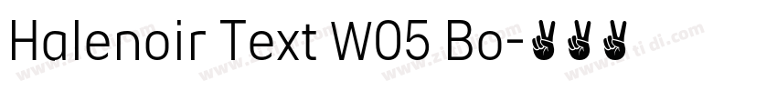 Halenoir Text W05 Bo字体转换
